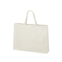 アズワン 不織布バッグ 角底 大 厚タイプ 白 63-1291-20 1箱(100枚)（直送品）