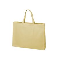 アズワン 不織布バッグ 角底 大 厚タイプ ベージュ 63-1291-22 1箱(100枚)（直送品）