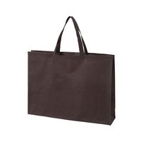 アズワン 不織布バッグ 角底 大 厚タイプ ダークブラウン 63-1291-23 1箱(100枚)（直送品）