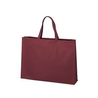 アズワン 不織布バッグ 角底 大 厚タイプ ボルドー 63-1291-24 1箱(100枚)（直送品）