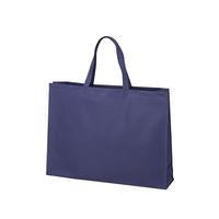 アズワン 不織布バッグ 角底 大 厚タイプ 紺 63-1291-21 1箱(100枚)（直送品）