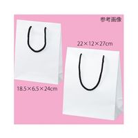 アズワン マット貼り紙袋 白 18.5×6.5×24cm 50枚 63-3385-58 1箱(50枚)（直送品）