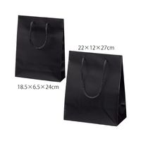 アズワン マット貼り紙袋 黒 22×12×27cm 50枚 63-3385-77 1箱(50枚)（直送品）