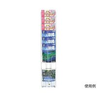 ハヤノ産業 壁掛ラック A4判 1列10段 FPRW-21 1台 64-0957-69（直送品）