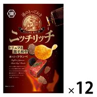 ニッチリッチ トリュフと黒毛和牛 薫り立つフランベ 12袋 湖池屋 ポテトチップス スナック菓子 おつまみ