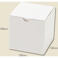 シモジマ フリーBOX Fー1 006205001 1束(10枚)