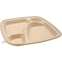 パックスタイル BB竹バガス弁当 N23ー23A ラミ 653872 1袋(50枚)