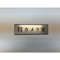 光 サインプレート 胃カメラ室 PL110-149 1セット(5枚) 359-8122（直送品）