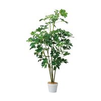 アズワン シェフレラ(フェイクグリーン 人工樹木)135cm 65-9345-87 1個（直送品）