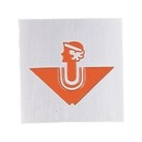 光 サインプレート 女 オレンジ RA1117-6 1枚 360-1240（直送品）