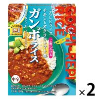 ハウス食品 ごちレピライス ガンボライス 中辛 1人前・150g 1セット（2個）レトルト レンジ対応