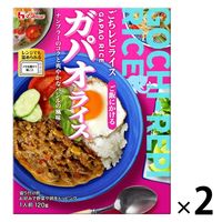 ハウス食品 ごちレピライス ガパオライス 120g 1セット（2個） レンジ対応 レトルト