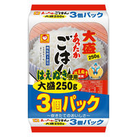 パックごはん 3食 あったかごはん大盛250g（3食入）× 1個 東洋水産 米加工品 包装米飯