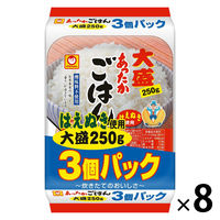 パックごはん 24食 あったかごはん大盛250g（3食入）× 8個 東洋水産 米加工品 包装米飯