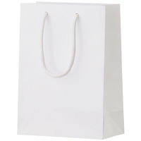 丸玉工業 シャイニーバッグXS(ホワイト) 90100101 1枚