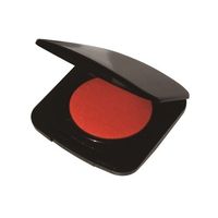 新朝日コーポレーション スーパーエース朱肉コンパクトブラック NSC-40D 1個