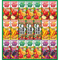 カゴメ 【2箱セット】カゴメ 野菜飲料バラエティギフト(21本) 24-0476-027 1セット(2箱入)（直送品）