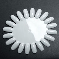 BEAUTY NAILER ラウンドカラーチャート NCCー6 ナチュラル 65950 1点（直送品）