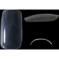 BEAUTY NAILER フラットレギュラー クリア 50P BBS2Nー6 37887 1点（直送品）