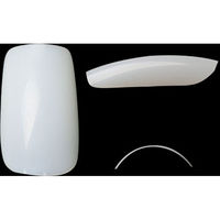 BEAUTY NAILER ニュースクエア ナチュラル 50P P9NNー6 37907 1点（直送品）