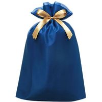 包む 巾着 オーガンジー BAG LLサイズ ブルー T-2803-LL 1個