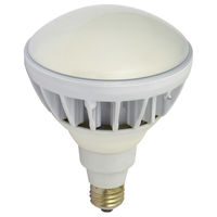 日動工業 LED交換球 L20W-JW110-30K 1個（直送品）