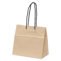 パックタケヤマ 手提袋 BSS 4515671687284 1セット(10枚入×10束 合計100枚)（直送品）