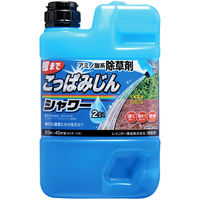 レインボー薬品 こっぱみじんシャワー 2L 4903471102500 1個（直送品）