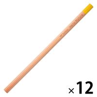 トンボ鉛筆 色鉛筆 ハローネイチャー 単色 黄色 CB-KHN03 1セット（1本×12）