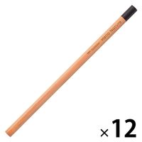 トンボ鉛筆 色鉛筆 ハローネイチャー 単色 黒 CB-KHN33 1セット（1本×12）