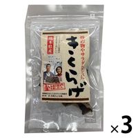 熊本県産きくらげ 8g 1セット（3個）王将椎茸