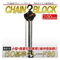 ベスト・アンサー チェーンブロック VD 2トン lh-vd200 1台（直送品）