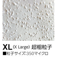 ターナー色彩 シュレイパージェッソ XL 超粗粒子 白 450ml 10069 1セット(2個)（直送品）