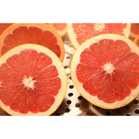 ベジテック グレープフルーツ(R) 40玉 vege210 1ケース（直送品）