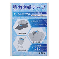 オリオン 強力冷感テープ クールレジックス 4枚入 27713 1セット(2個)（直送品）