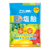 暑さ対策 塩分補給 塩分対策  匠の塩飴 3種アソート 1個