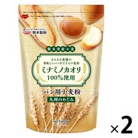 熊本製粉 パン用小麦粉 九州のめぐみ 熊本県産小麦ミナミノカオリ100%使用 600g 1セット（1個×2）