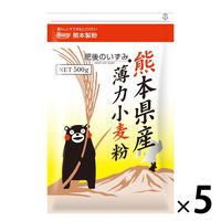 熊本製粉 熊本県産薄力小麦粉 肥後のいずみ 500g 1セット（1個×5）
