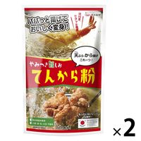 熊本製粉 やみつき旨しお てんから粉 130g 1セット（1個×2）天ぷら用ミックス粉