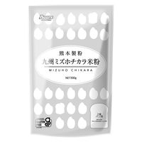 熊本製粉 九州ミズホチカラ米粉 300g 1個