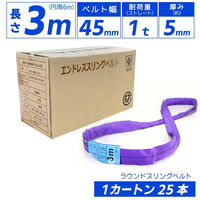 エンドレス スリングベルト 1tタイプ カートン25本セット 01710-0103-carton25p 1セット(25本入)（直送品）