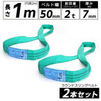 ベスト・アンサー エンドレス スリングベルト 2tタイプ 2本セット 01710-02-2p 1セット(2本入)（直送品）