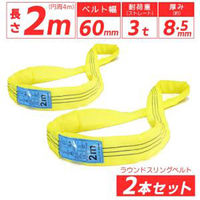 ベスト・アンサー エンドレス スリングベルト 3tタイプ 2本セット 01710-0302-2p 1セット(2本入)（直送品）