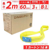 エンドレス スリングベルト 3tタイプ カートン16本セット 01710-0302-carton16p 1セット(16本入)（直送品）