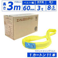 エンドレス スリングベルト 3tタイプ カートン11本セット 01710-0303-carton11p 1セット(11本入)（直送品）