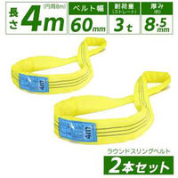 テザックブルースリング 3mx2本 テザック ブルースリング35ミリ×2M 3E35X2 1本（直送品） - アスクル