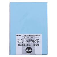 ~[Y FpbN F㎿  A4 100  300498 1Zbg(1pbN×2)iij