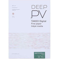 ミューズ インクジェット専用紙 DEEP PV モデラトーン/アイス A4 10枚入 725110 1冊（直送品）