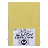 ~[Y FpbN F㎿  A4 100 ZN[ 300405 1Zbg(1pbN×2)iij