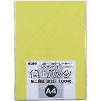 ミューズ 色上パック 色上質紙 厚口 A4 100枚入 黄色 300412 1セット(1パック×2)（直送品）
